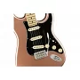 Электрогитара FENDER AMERICAN PERFORMER STRATOCASTER MN PENNY