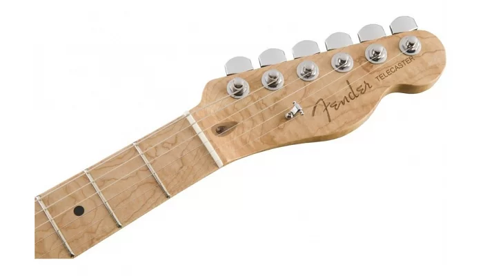 Электрогитара FENDER AMERICAN PROFESSIONAL LIMITED EDITION PINE TELECASTER, фото № 7