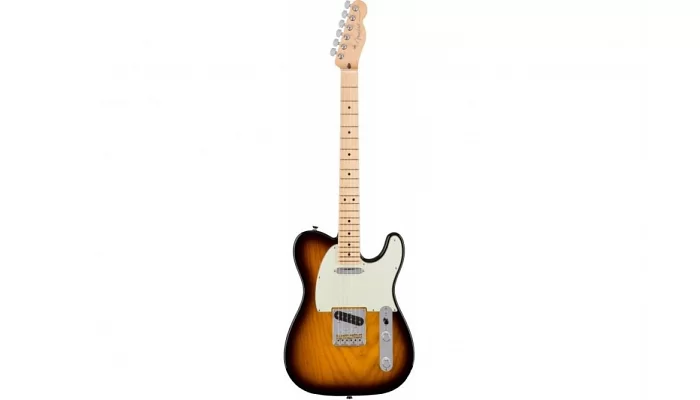 Електрогітара FENDER AMERICAN PROFESSIONAL TELECASTER (ASH) MN 2TS, фото № 1