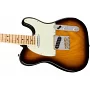 Електрогітара FENDER AMERICAN PROFESSIONAL TELECASTER (ASH) MN 2TS