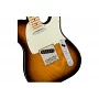 Електрогітара FENDER AMERICAN PROFESSIONAL TELECASTER (ASH) MN 2TS