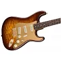 Електрогітара FENDER CUSTOM SHOP ARTISAN TAMO ASH STRAT