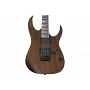 Електрогітара IBANEZ GRG121DX WNF