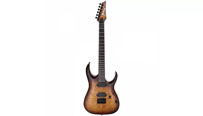 Електрогітара IBANEZ RGA42FM DEF, фото № 1
