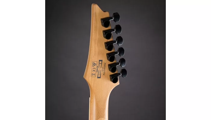Електрогітара IBANEZ RGEW521ZC NTF, фото № 4