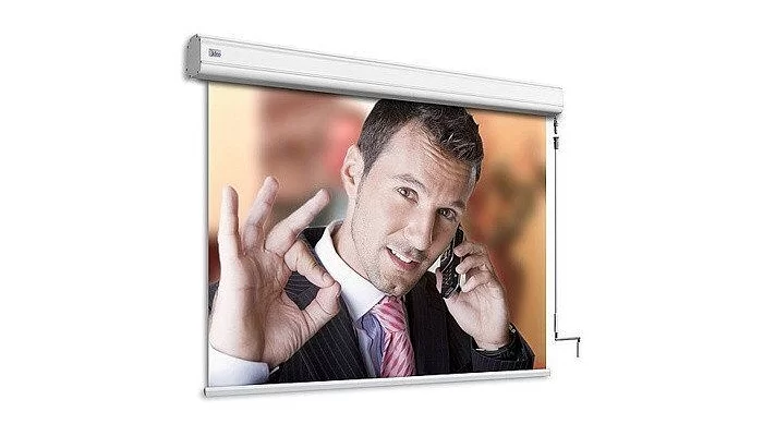 Моторизированный экран 100" Adeo Professional Reference White 233x130, формат экрана 16:9, ed.45см