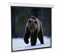 Підвісний екран для проектора Redleaf SGM-1104 112