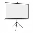 Екран для проектора на тринозі AV Screen 3V120MTV (4: 3; 120 ") Matte White