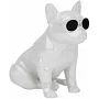 Бездротова портативна акустична система Jarre Technologies AeroBull XS1 Glossy White