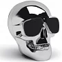 Беспроводная портативная акустическая система Jarre Technologies AeroSkull Nano Chrome Silver