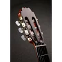 Классическая гитара Alhambra LuthierAniversario