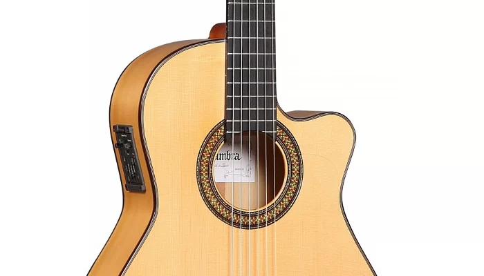 Класична гітара з вирізом і електронікою Alhambra 7FcCWE2, фото № 2