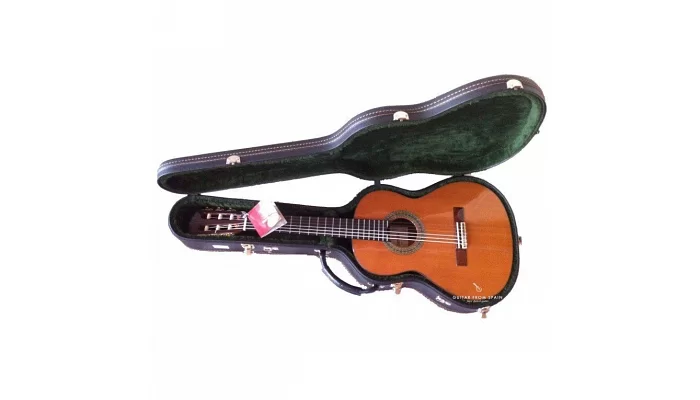 Кейс для классической гитары Alhambra 9569, фото № 3