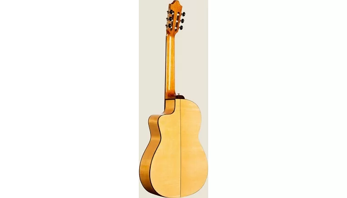 Классическая гитара CAMPS M5S, фото № 2