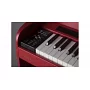 Цифровое пианино DEXIBELL VIVO H7 PRDM