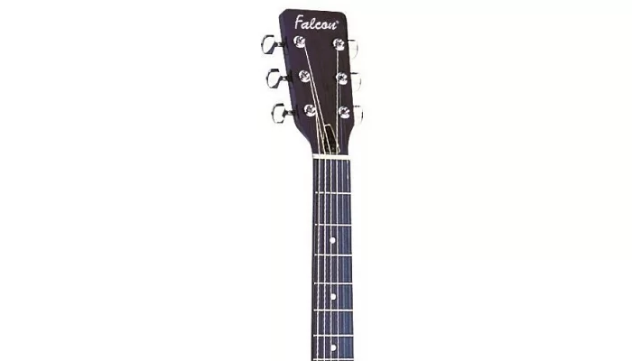 Акустическая гитара FALCON FG100BL, фото № 4