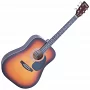 Акустическая гитара FALCON FG100SB