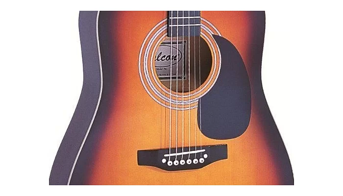 Акустическая гитара FALCON FG100SB, фото № 3