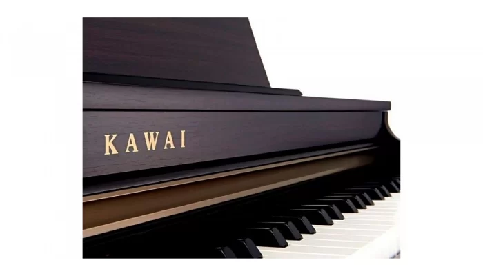 Цифровое фортепиано KAWAI CN25 RW, фото № 2