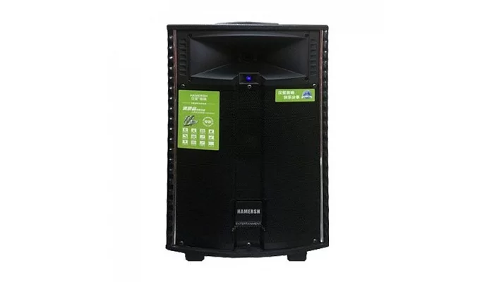 Автономна акустична система TMG QX-1221 (BT + 2MIC + USB + SD), фото № 2