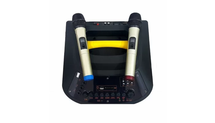 Автономная акустическая система TMG SA3-12 (USB+SD+BT+2MIC), фото № 3