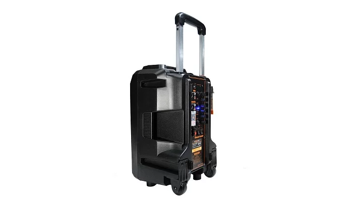 Автономная акустическая система TMG SS3-12 (BT+USB+2MIC), фото № 6