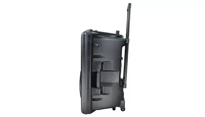 Автономна акустична система TMG FM F14 (1MIC + BL + USB + FM), фото № 3