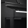 Цифрове фортепіано цифрове CASIO AP-700BKC7