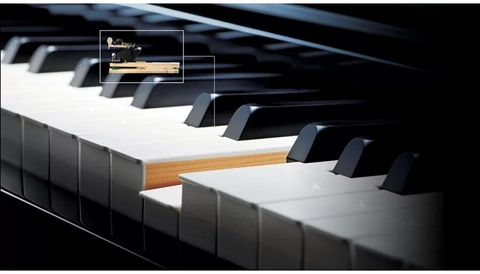 Цифрове фортепіано цифрове CASIO AP-700BKC7, фото № 4