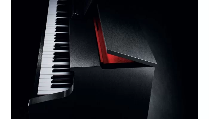 Цифровое фортепиано цифровое CASIO AP-700BKC7, фото № 5