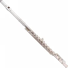 Флейта ODYSSEY Debut Flute OFL100
