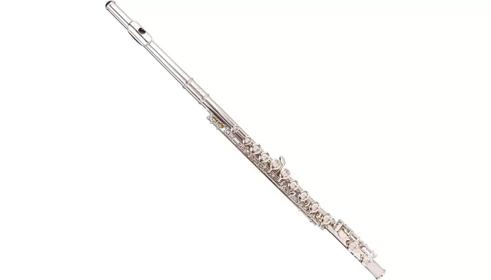 Флейта ODYSSEY Debut Flute OFL100, фото № 1