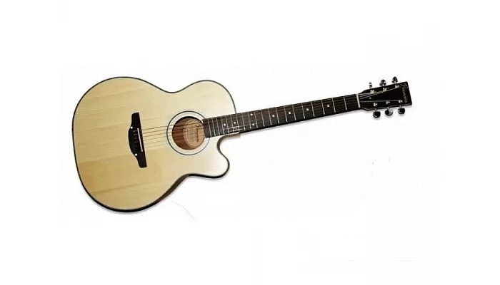 Акустическая гитара PREMIERE PA220