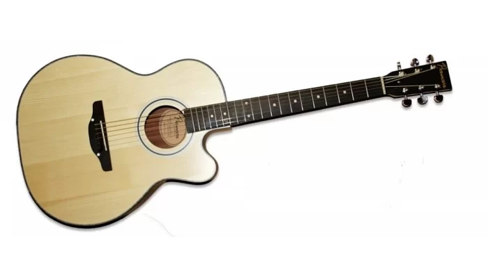Акустическая гитара PREMIERE PJ220C