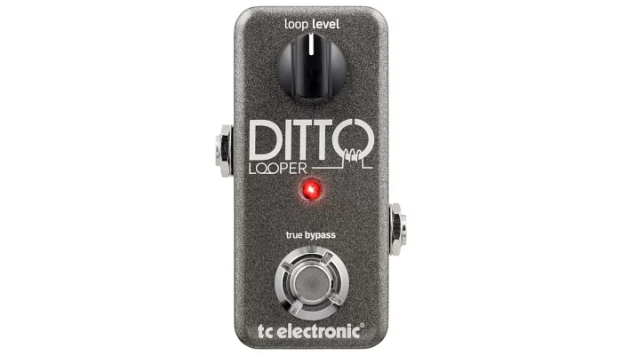 Педаль эффектов TC Electronic Ditto Looper, фото № 1