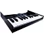 MIDI-клавиатура для модулей ROLAND BOUTIQUE ROLAND K25m