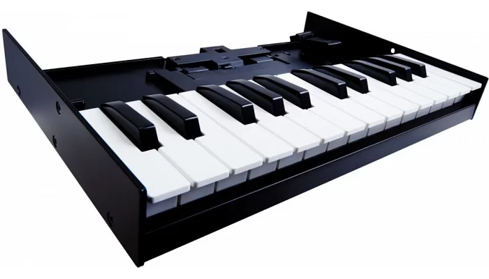 MIDI-клавіатура для модулів ROLAND BOUTIQUE ROLAND K25m, фото № 1