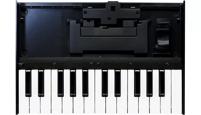 MIDI-клавиатура для модулей ROLAND BOUTIQUE ROLAND K25m, фото № 2