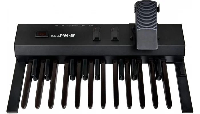 MIDI-педаль ROLAND PK-9, фото № 1