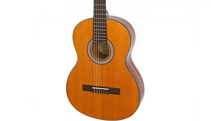 Класична гітара EPIPHONE PRO-1 CLASSIC 2.0, фото № 3