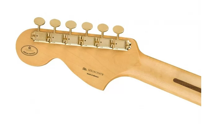 Електрогітара FENDER LTD BLACKTOP STRAT PF BLACK, фото № 6