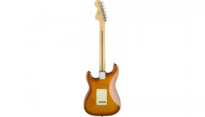 Електрогітара FENDER AMERICAN PERFORMER STRATOCASTER RW HONEY BURST, фото № 2