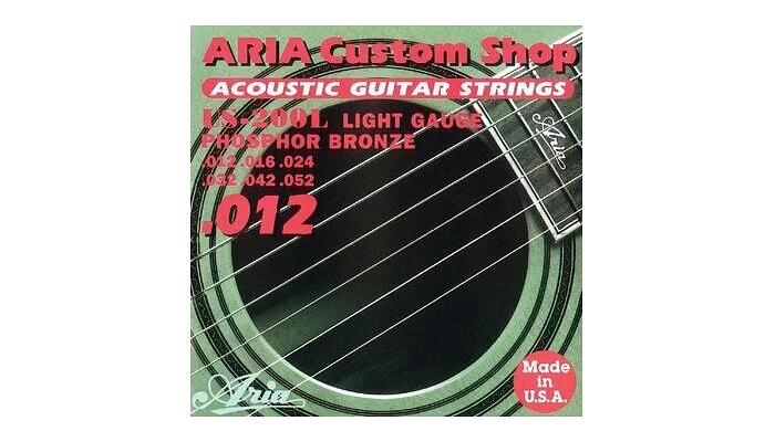 Струны для акустической гитары Aria US-200L
