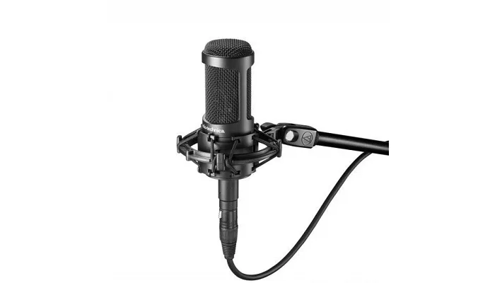 Студийный конденсаторный микрофон Audio-Technica AT2035, фото № 1