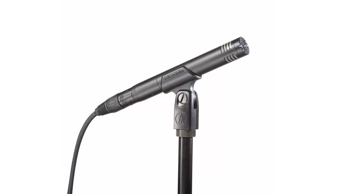 Студійний конденсаторний мікрофон Audio-Technica AT2031, фото № 1