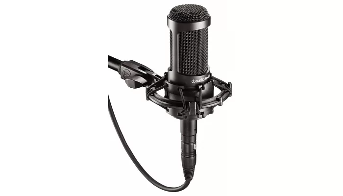 Студійний мікрофон Audio-Technica AT2020, фото № 1