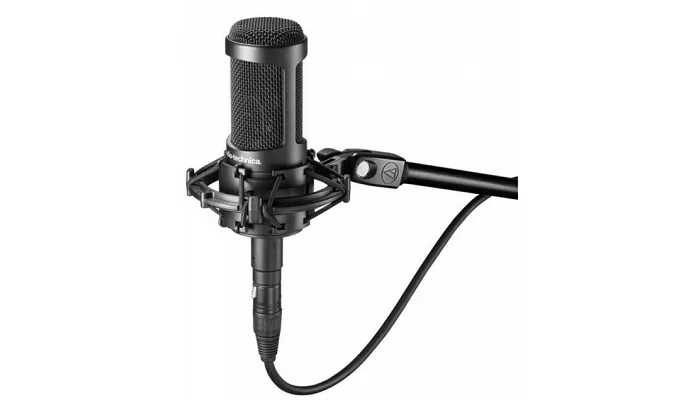 Студійний конденсаторний мікрофон Audio-Technica AT2050, фото № 2