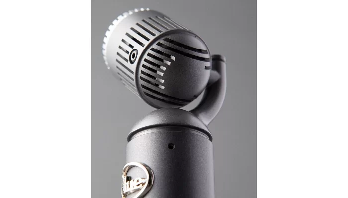 Микрофон Blue Microphones HUMMINGBIRD, фото № 3