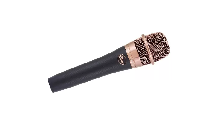 Вокальный микрофон Blue Microphones enCORE 200, фото № 1