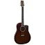 Акустическая гитара PARKSONS JB4113C (Brown)